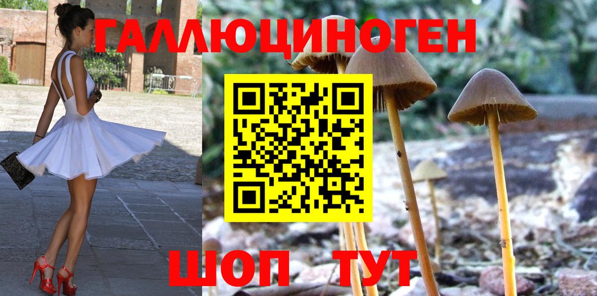 Камень-на-Оби  Псилоцибиновые грибы Psilocybe  сколько стоит  Вход с VPN  Галлюциногенные грибы мицелий 