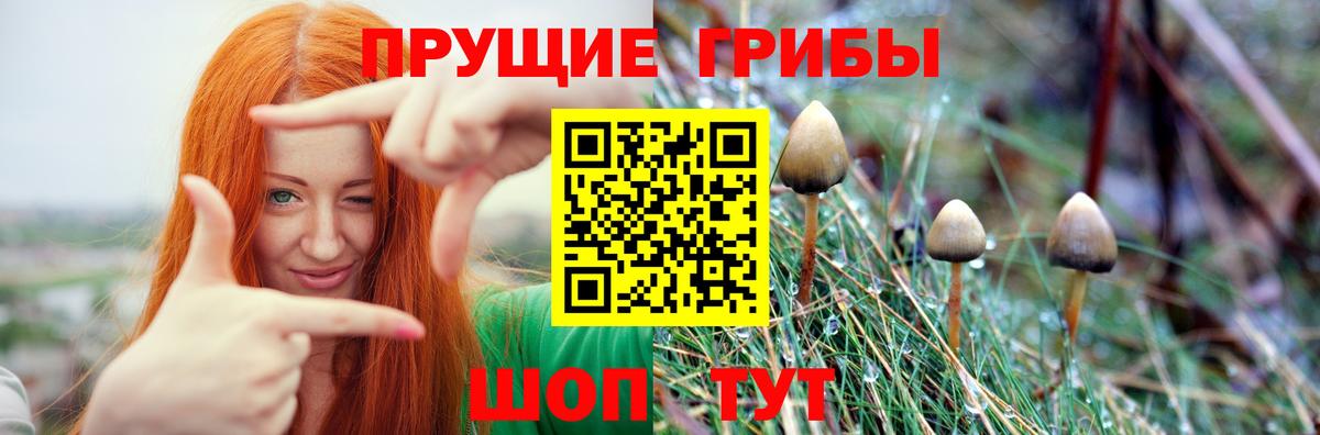 Псилоцибиновые грибы ЛСД Камень-на-Оби